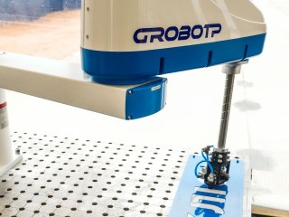 Роботы из Китая могут прийти в Дубну