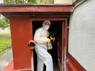 С грызунами попрощались: в Видном потравили крыс по просьбе жителей