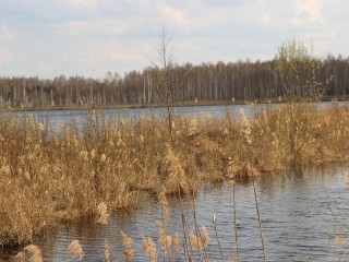 Пруд в Русаках планируют очистить в 2026 году