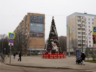 Реутов засиял: 30 елок зажгли новогоднее настроение у жителей