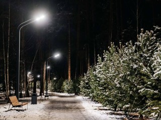 Торжественное открытие лесопарка «Стрелки» состоится в Орехово-Зуеве 13 декабря