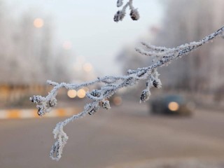 Перепады температуры и высокое давление придут в Подмосковье 4 декабря