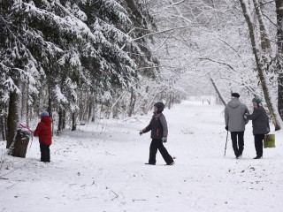 Зима спасена! Синоптики сделали оптимистичный прогноз на конец декабря