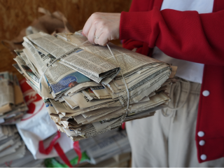 Сбор вторсырья для правильной утилизации организуют во Фрязинском лесопарке