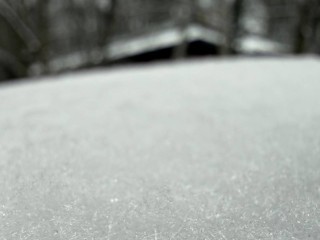 Сидим дома? Синоптики обещают в Подмосковье до 4 см снега, метель и гололед к субботе