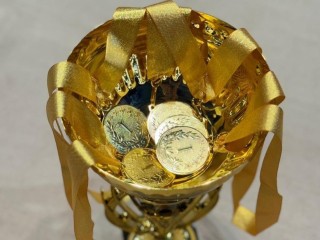 Лобненские гимнастки стали лучшими на турнире в Дмитрове