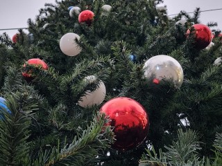 Где в Мытищах бесплатно провести новогоднюю фотосессию