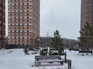 Погодные качели: чего ожидать в конце декабря