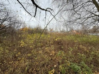 Поле битвы — земля: чем завершился ажиотаж на аукционе в Подмосковье и что в итоге возведут на участке