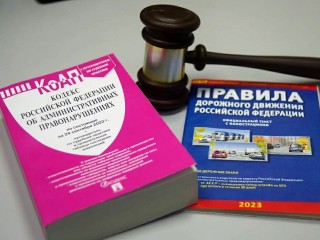 Сбил и бросил умирать: полиция сняла с рейса иностранца, задавившего пенсионера в Москве
