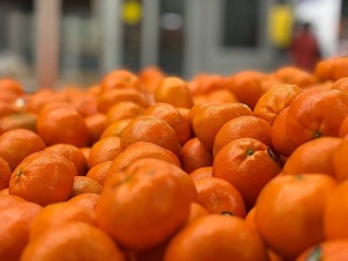 Обвал цен: почему главные новогодние салаты и мандарины в этом году подешевеют