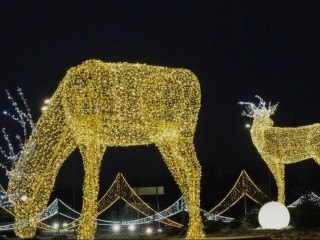 Новогодних светящихся оленей, снежинок и Деда Мороза со Снегурочкой поставили прямо на «кругах» в Истре