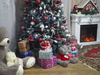 «Елка желаний»: зарайцев приглашают исполнить детские мечты