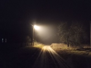 Ружан предупредили о сильном тумане в ночь на 3 декабря