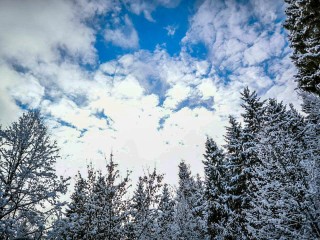 Зима пришла! Подмосковье засыплет снегом, морозы усилятся до –15°C