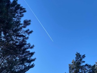 Летать в 2026 году будет дешевле: как сэкономить на авиабилетах с господдержкой