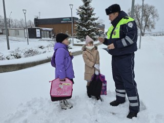 Сотрудники Госавтоинспекции напомнили жителям правила безопасного поведения на дороге