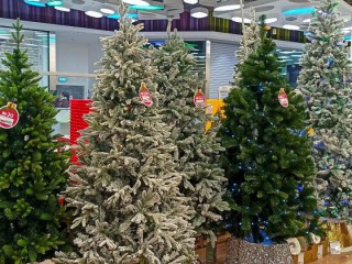 Что проверить при покупке ели? Юрист назвал документ, без которого могут оштрафовать