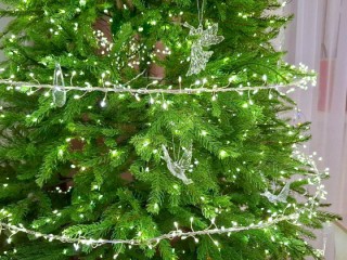 Безопасный Новый год: как установить елку без риска пожара, объяснили в МЧС