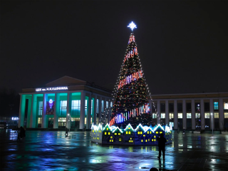 Главная елка Королева сможет побороться за звание лучшей в стране