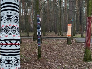 В трендовых нарядах теперь деревья из парка «Елочки» в Домодедове