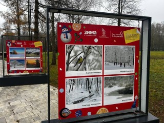 Не просто сугробы: в ступинском парке поселилась поэзия в кадрах