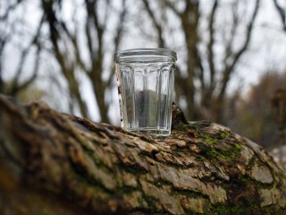 Назван список самых опасных алкогольных напитков: как спиртное вызывает язвы и воспаления