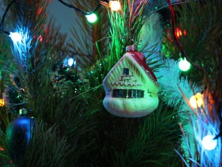 Где можно приобрести новогоднюю ель в Лыткарине