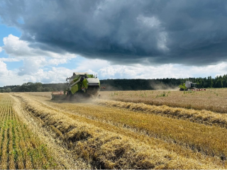 В Подмосковье расширили поддержку для агробизнеса: какие условия действуют и кому доступно финансирование
