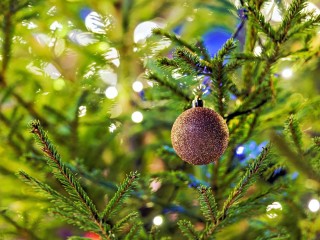 Герда, Кай и 520 новых друзей: как в Дмитрове оживили ледовую сказку для тех, кому она нужнее всего