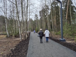 Жители Орехово-Зуева оценили изменения в лесопарке «Стрелки»