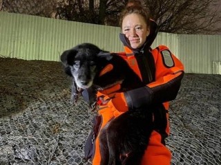 Застрявшую на плотине собаку спасли в Коломне