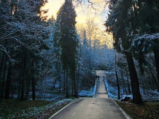 Лыжероллерная трасса в Одинцовском парке будет временно закрыта