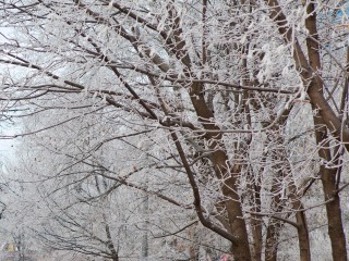 Новый год начнется в Подмосковье с похолодания