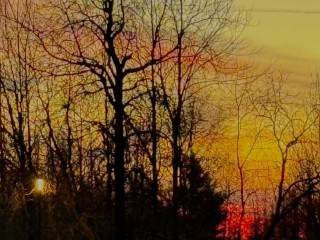 Гороскоп для всех знаков Зодиака на 7 декабря 2025: у Овнов, Близнецов и Дев есть шанс остаться ни с чем, а у Тельцов, Львов и Стрельцов будет возможность получить повышение