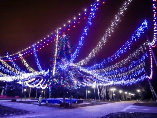 Огни новогодних елок зажгутся в парках Каширы в первый день зимы