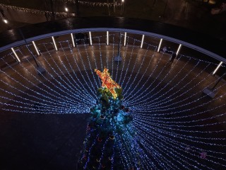 Погулять под «Звездным небом» и шепнуть желание Деду Морозу: как парк Талалихина подготовился к Новому году