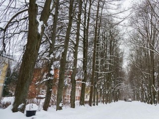 Минэкологии и прокуратура против нарушителя: в памятнике природы «Суханово» грядет снос самовольной постройки