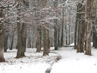 Резкое ненастье в Подмосковье! Циклон принесет дождь, снег и гололед