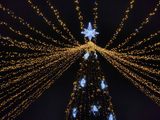 Более 300 участников собрали муниципальные Рождественские чтения