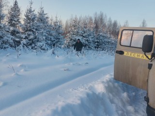 Операция «Елочка» началась в Истре: за новогоднюю ель теперь спросят по закону
