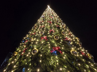 Можайск встретит 2026 год в новых нарядах