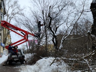 Провода в деревне под Клином освободили от лишних веток деревьев