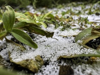 Прогноз погоды в Черноголовке: потепление до +5 сменится морозами и снегом