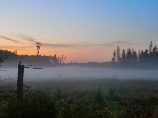 «Желтый» уровень погодной опасности введен в Подмосковье
