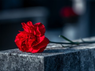 Кто и зачем ставит памятники живым на кладбищах Подмосковья