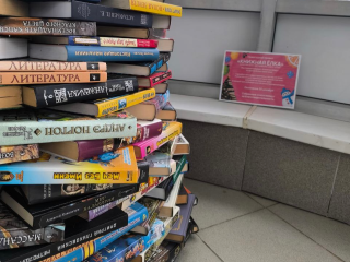 Не по дням, а по часам: под Дмитровом за несколько дней елка выросла до 90 см