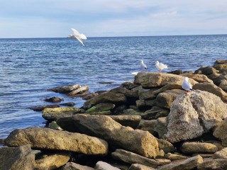 На отпуск не хватает денег? Способы сэкономить для пенсионеров и не только назвал турагент