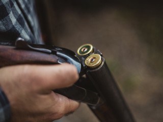 «Они побежали на нас… один сказал: „Стреляй“»: неизвестные расстреляли двух собак и избили хозяина прикладом ружья