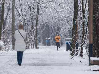 Сдует и заморозит: синоптик Позднякова раскрыла погодный сценарий в Подмосковье на ближайшие дни